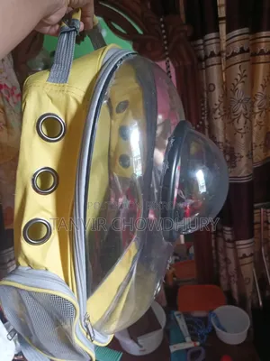 বিড়ালের ক্যারি ব্যাগ