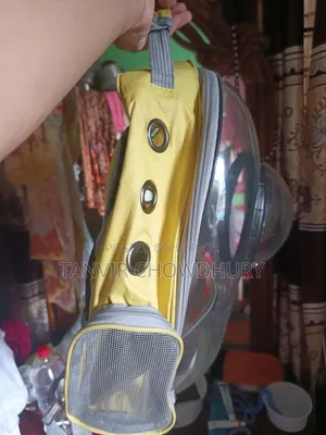 বিড়ালের ক্যারি ব্যাগ