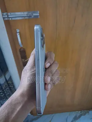 Apple iPhone 15 Pro Max 256 GB Silver