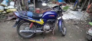 হিরো প্যাশন প্রো ২০১৪ নীল