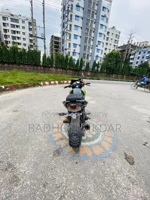 টিভিএস অ্যাপাচে আরটিআর ১৬০ ২ভি ২০১৭ সবুজ