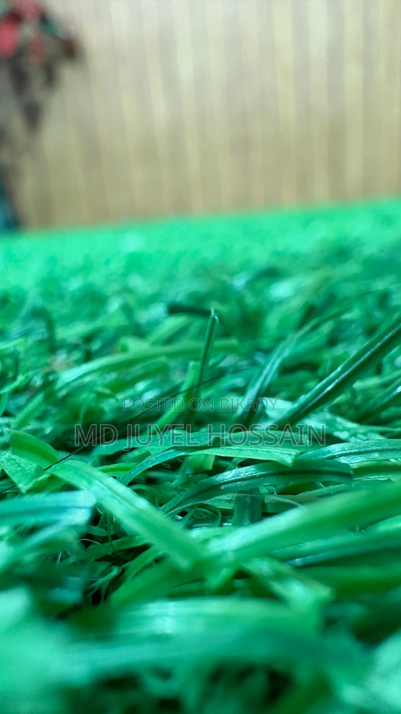 আর্টিফিশিয়াল ঘাস