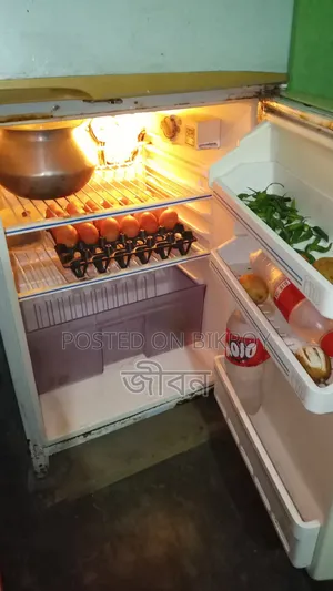 Selling my refrigerator as I am buying a new one