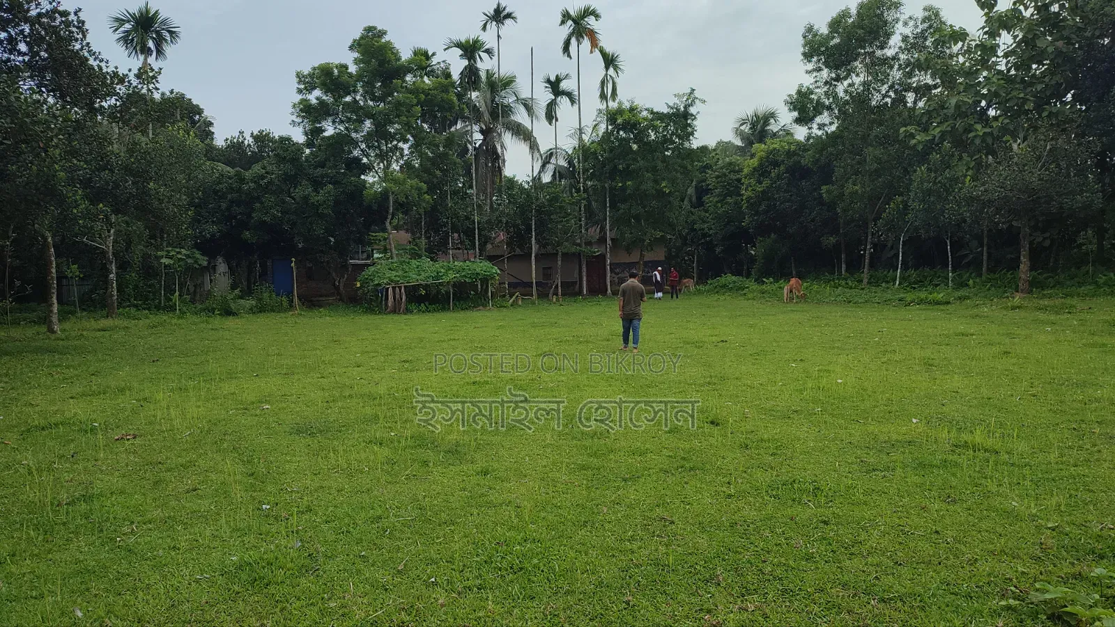 Land for sale 75 thousand taka per decimal