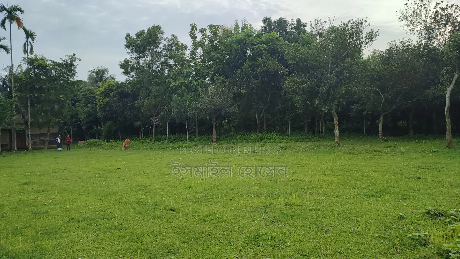 Land for sale 75 thousand taka per decimal