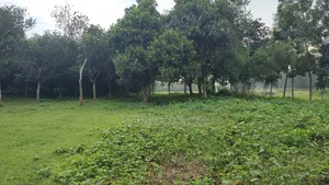Land for sale 75 thousand taka per decimal