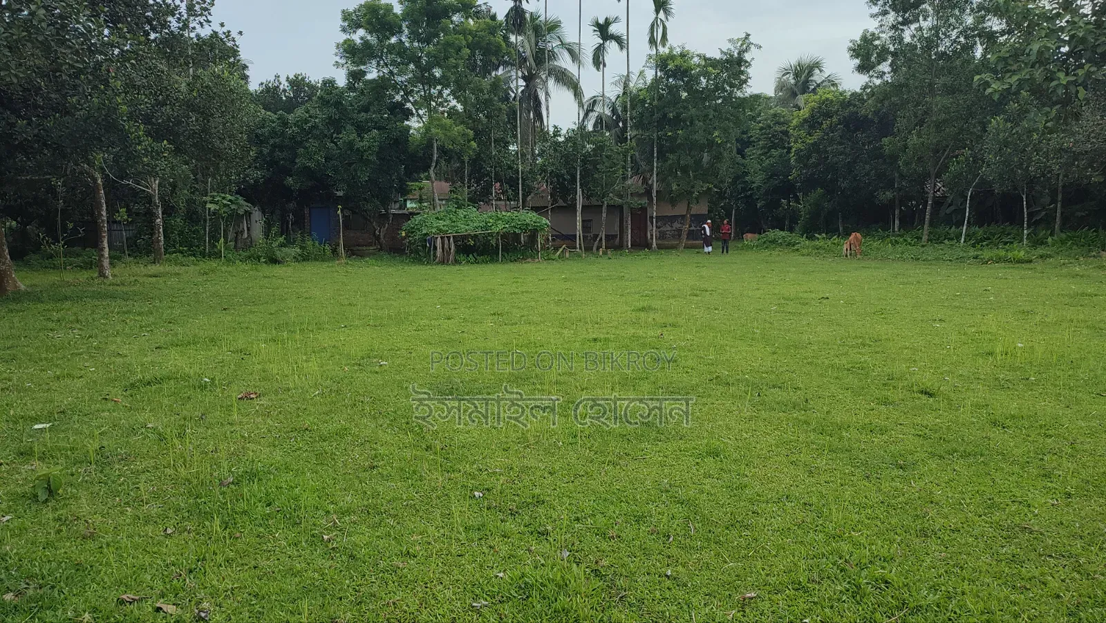Land for sale 75 thousand taka per decimal