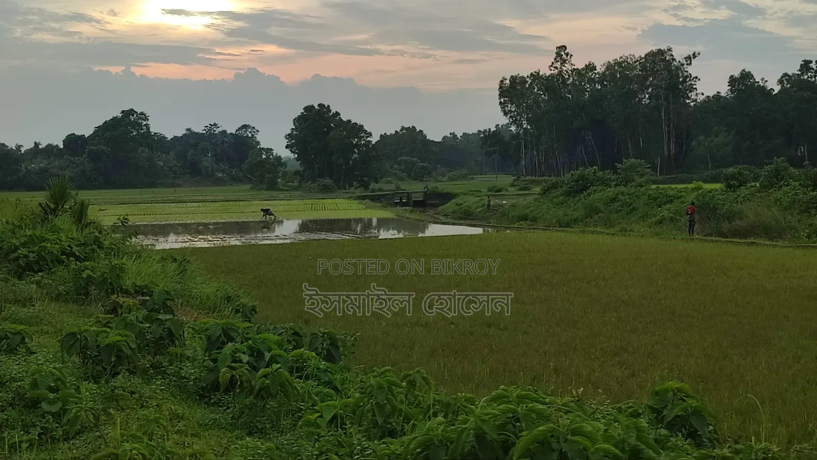 Land for sale 75 thousand taka per decimal