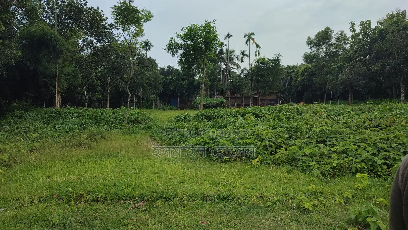 Land for sale 75 thousand taka per decimal