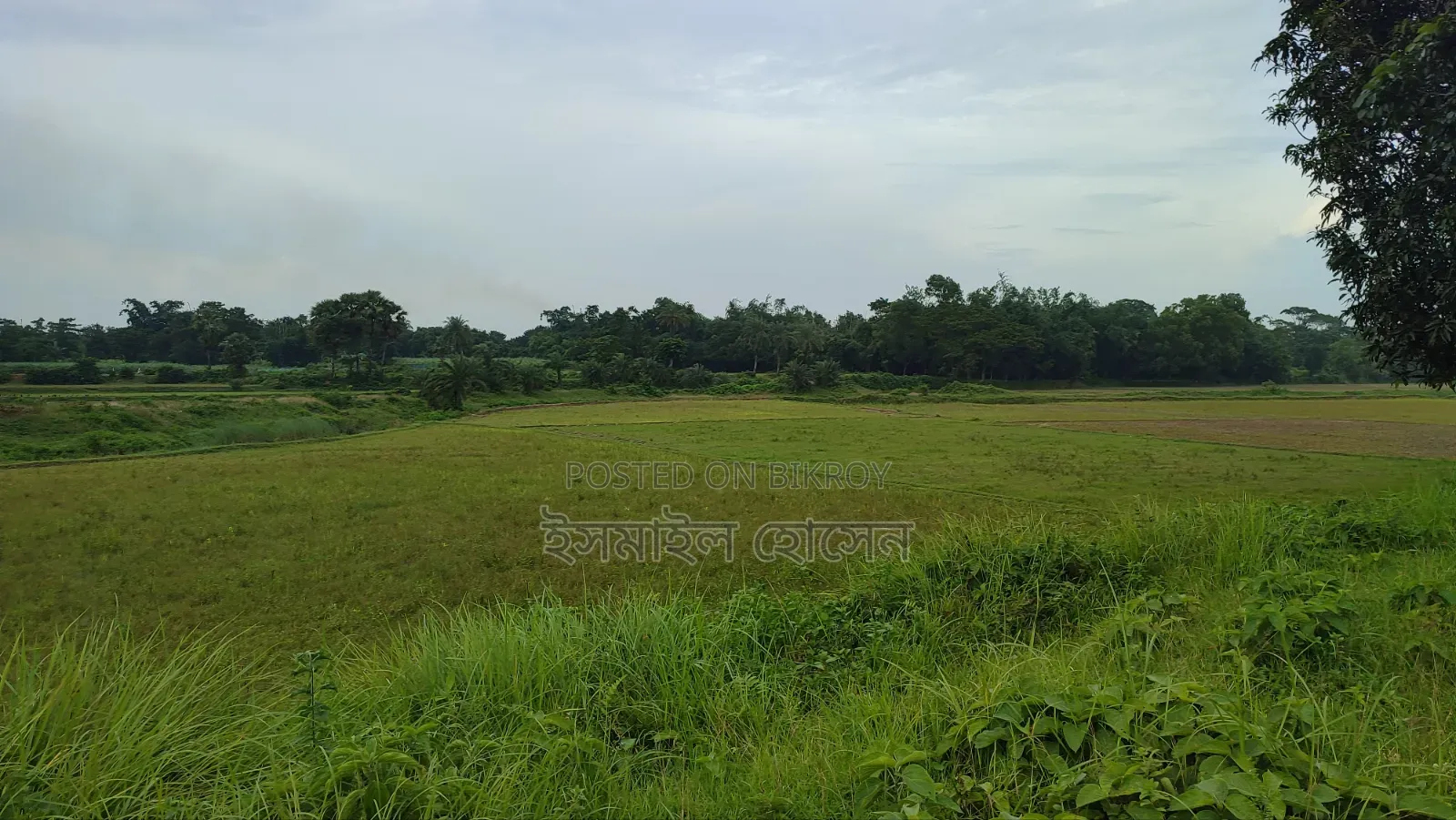 Land for sale 75 thousand taka per decimal