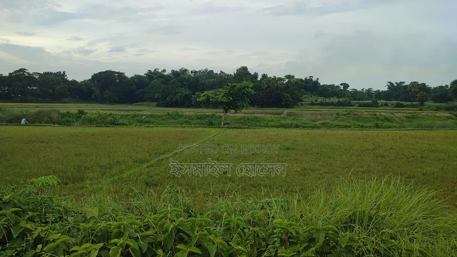 Land for sale 75 thousand taka per decimal