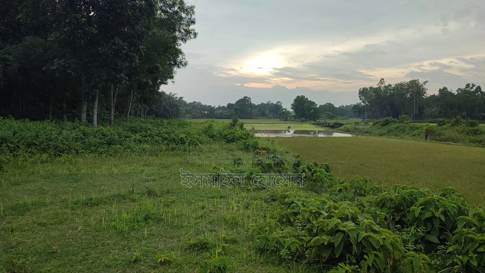 Land for sale 75 thousand taka per decimal