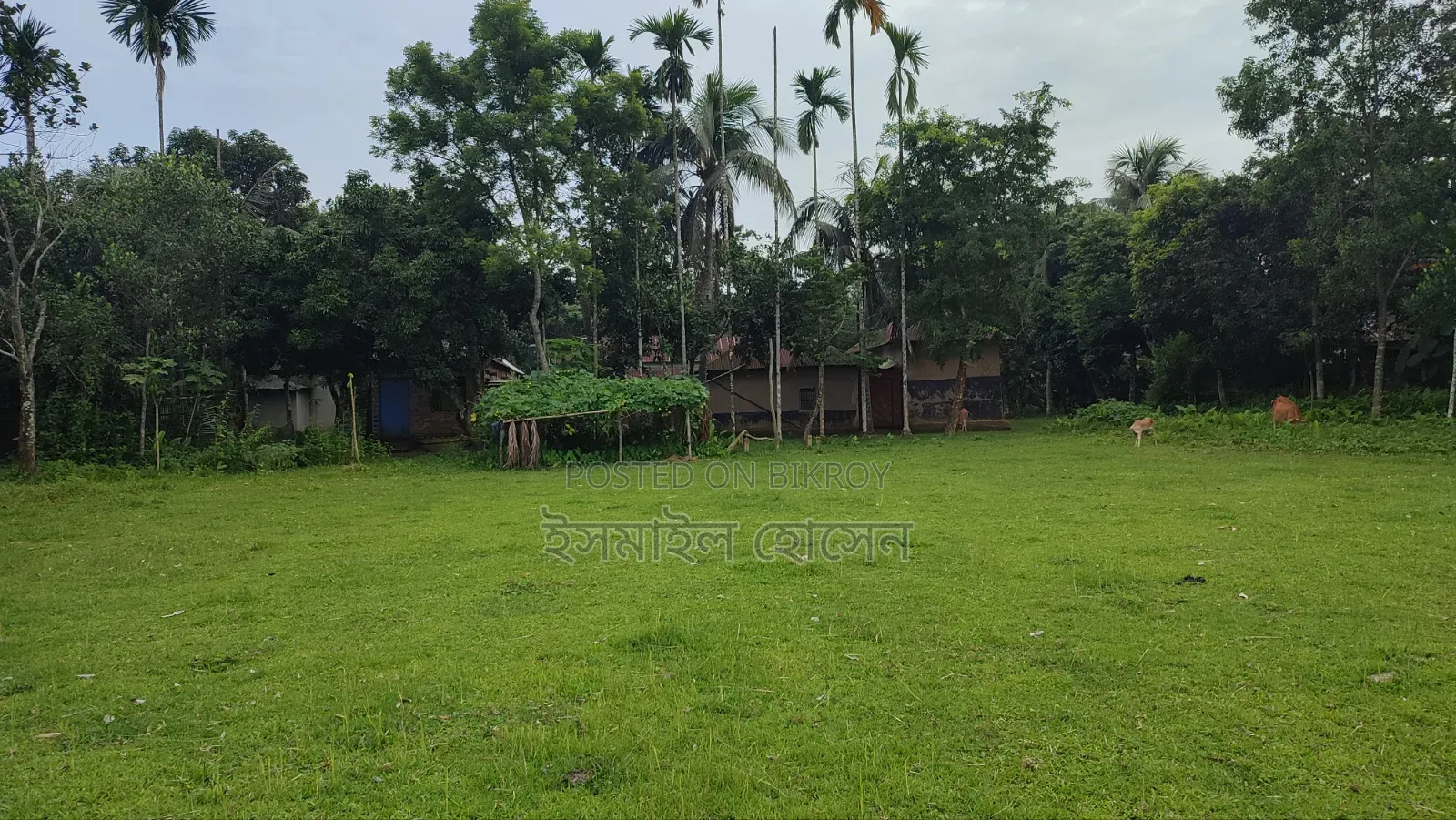 Land for sale 75 thousand taka per decimal