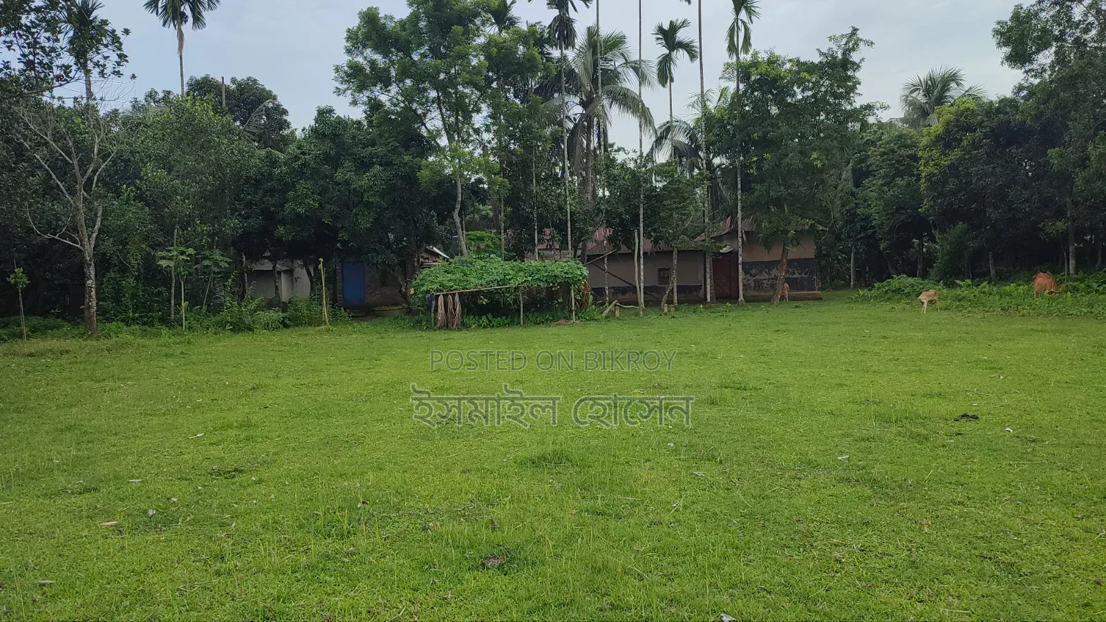 Land for sale 75 thousand taka per decimal