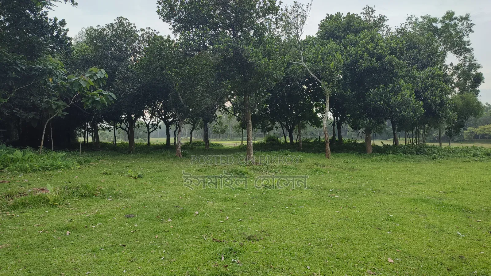 Land for sale 75 thousand taka per decimal