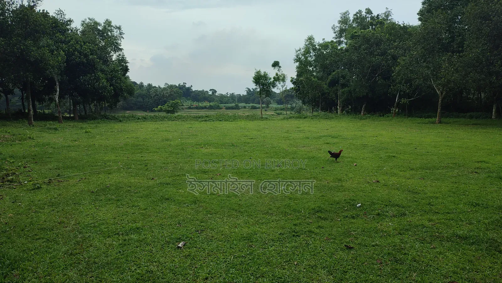 Land for sale 75 thousand taka per decimal