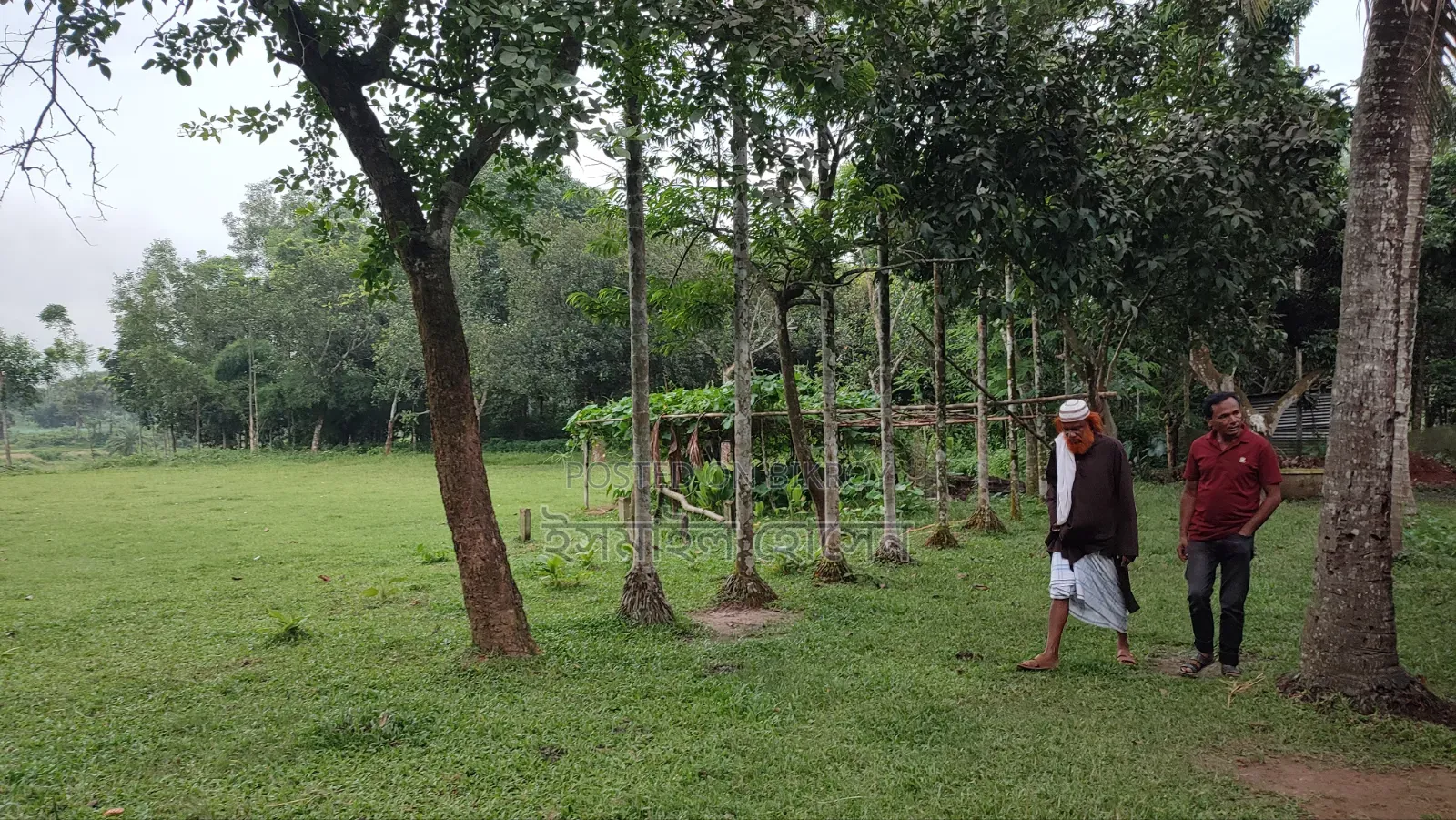 Land for sale 75 thousand taka per decimal