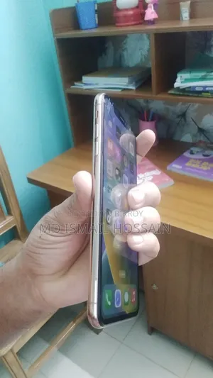 অ্যাপল আইফোন এক্সএস ম্যাক্স ২৫৬ জিবি গোল্ড