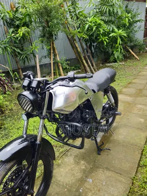 দায়ুন ডিওয়াই১০০-এ ২০১৬ সিলভার