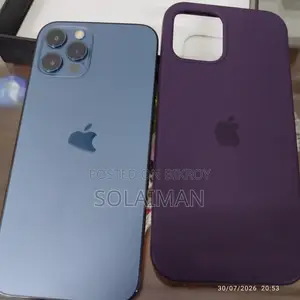 অ্যাপল আইফোন ১২ প্রো ২৫৬ জিবি ব্লু