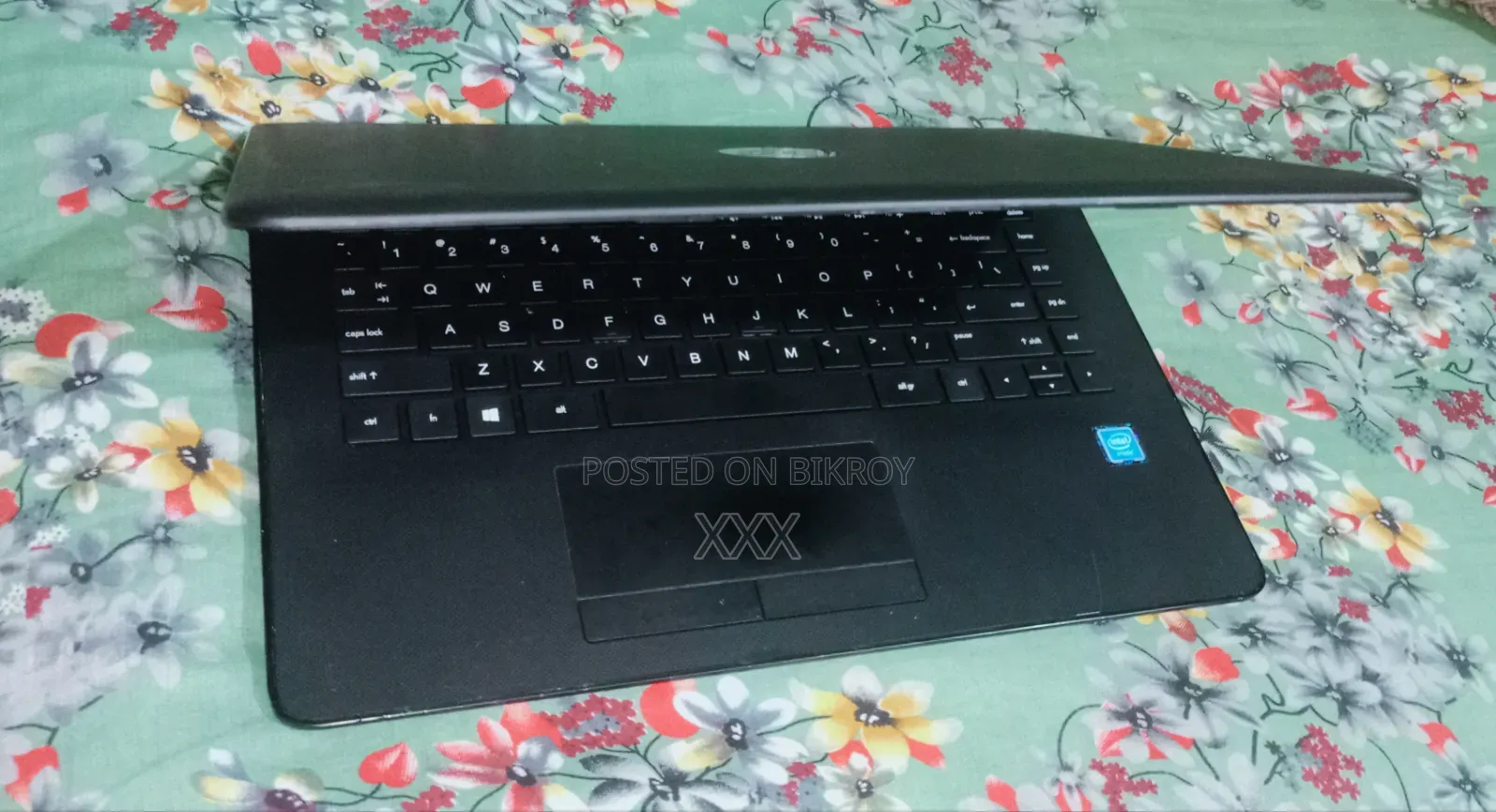 Laptop HP 15 8GB Intel Celeron SSD 128GB