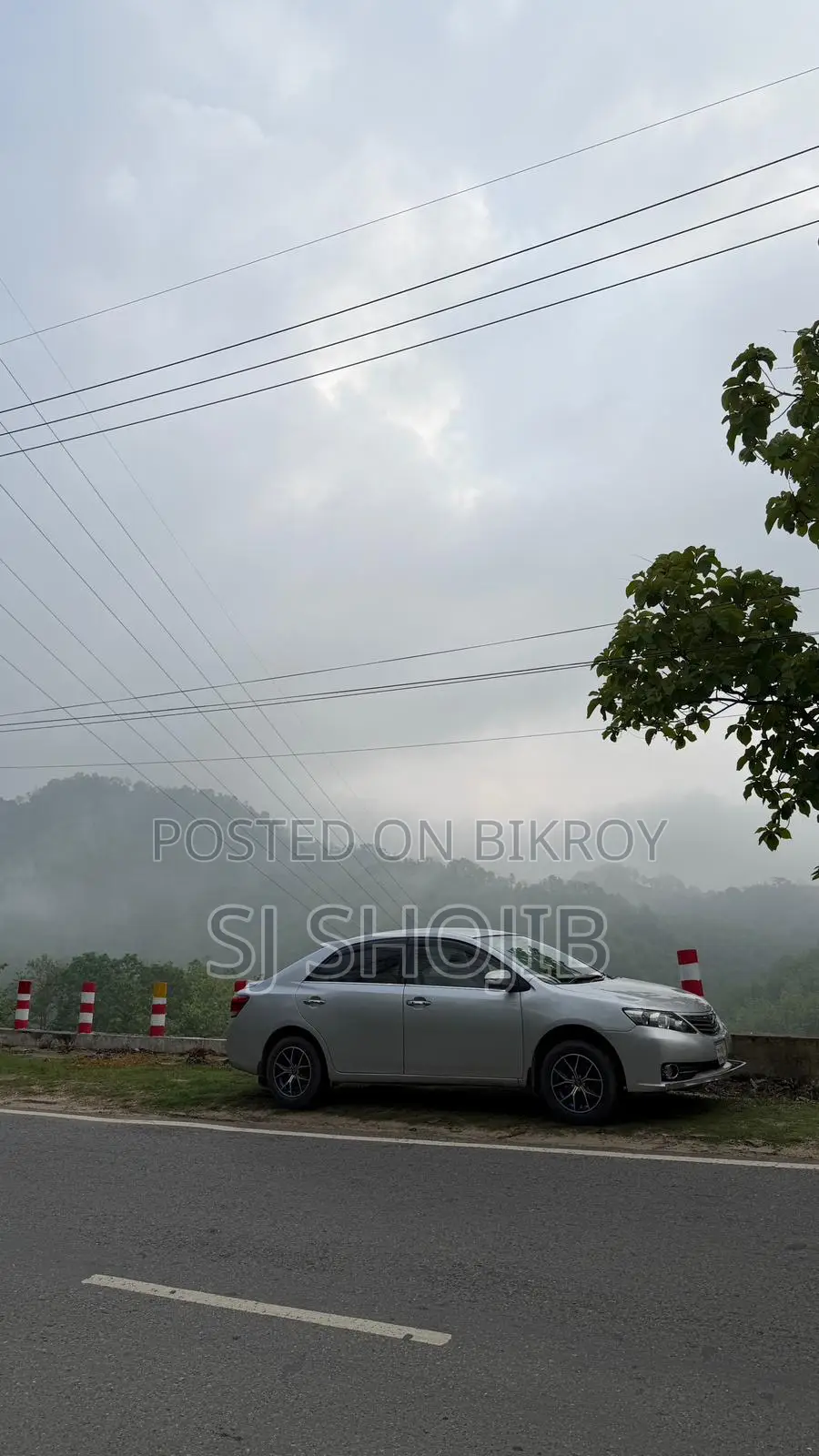 Toyota Allion 2011 Silver
