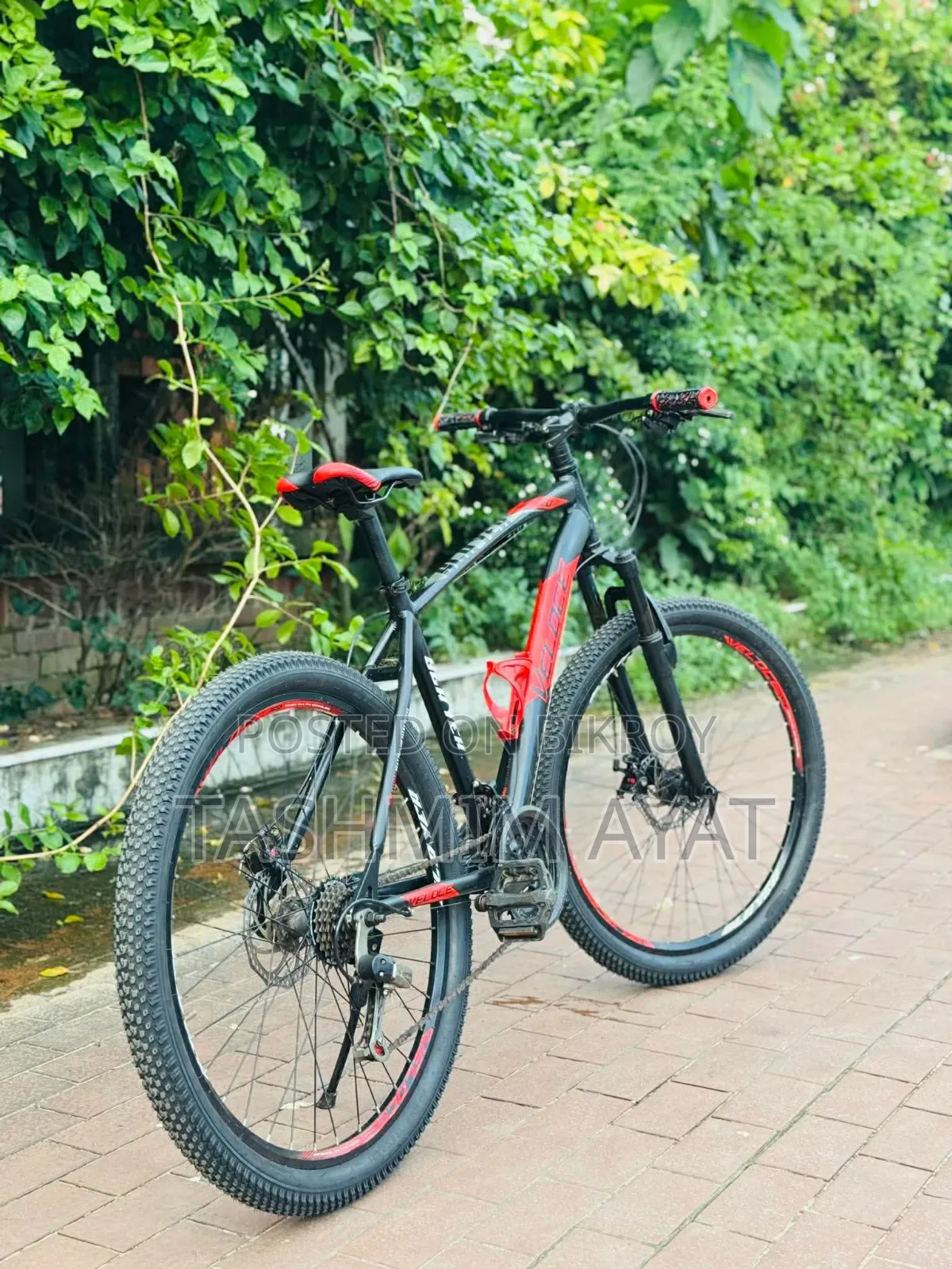 Veloce Slayer 1.0 Urgent Sell
