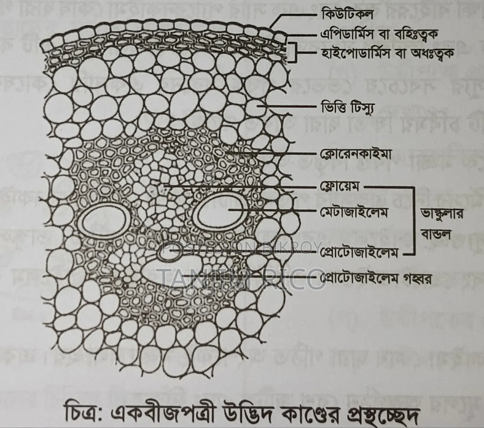 এইচএসসি উদ্ভাস এর বই বিক্রি হবে