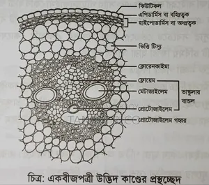 এইচএসসি উদ্ভাস এর বই বিক্রি হবে