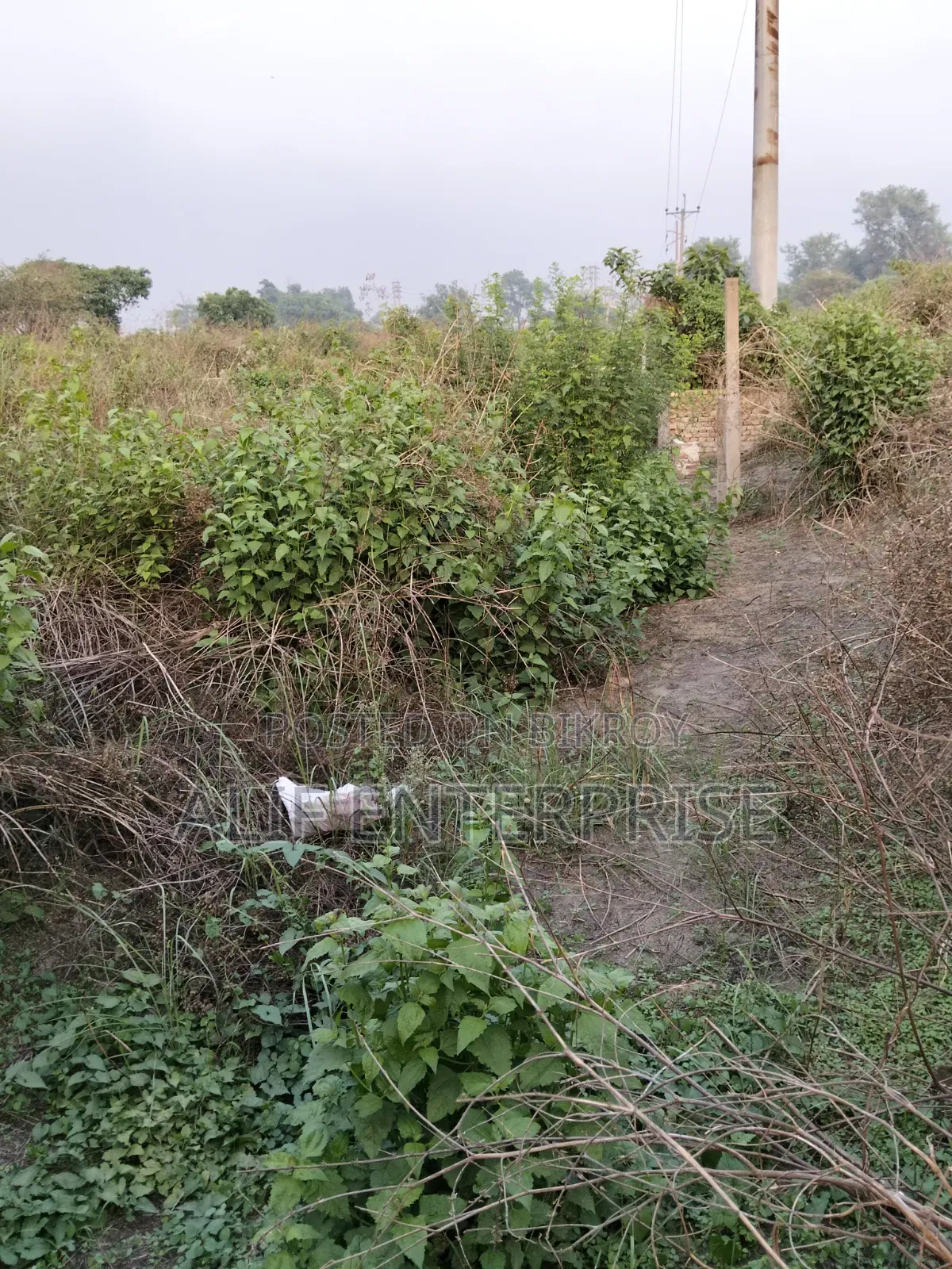 Land Sale
