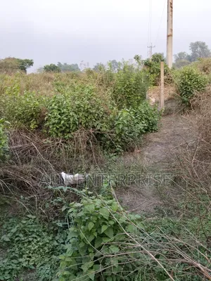 Land Sale