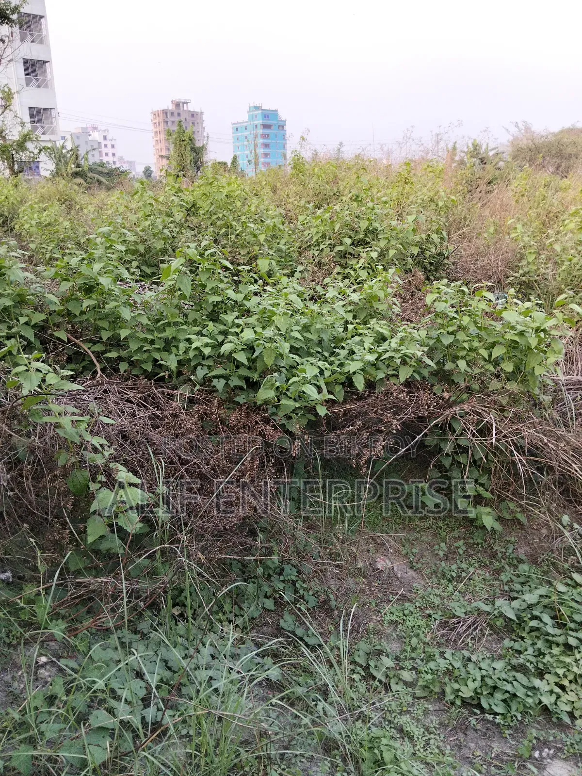 Land Sale