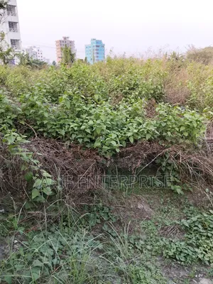 Land Sale