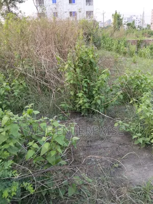 Land Sale
