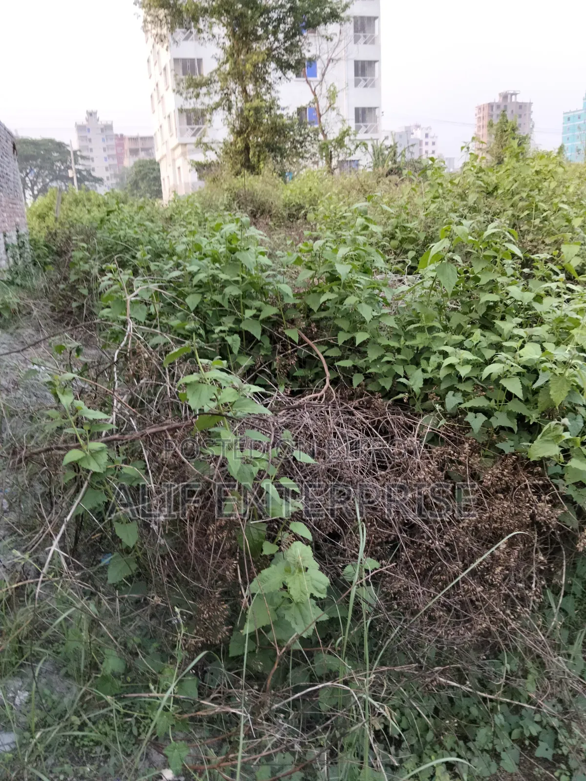 Land Sale