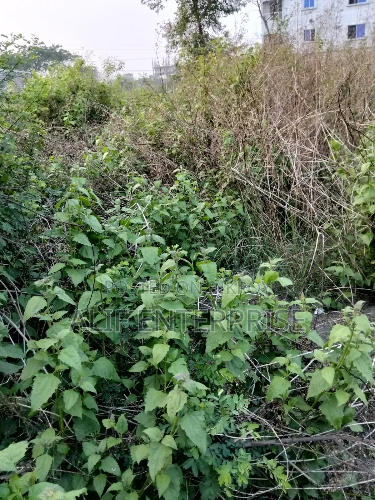 Land Sale