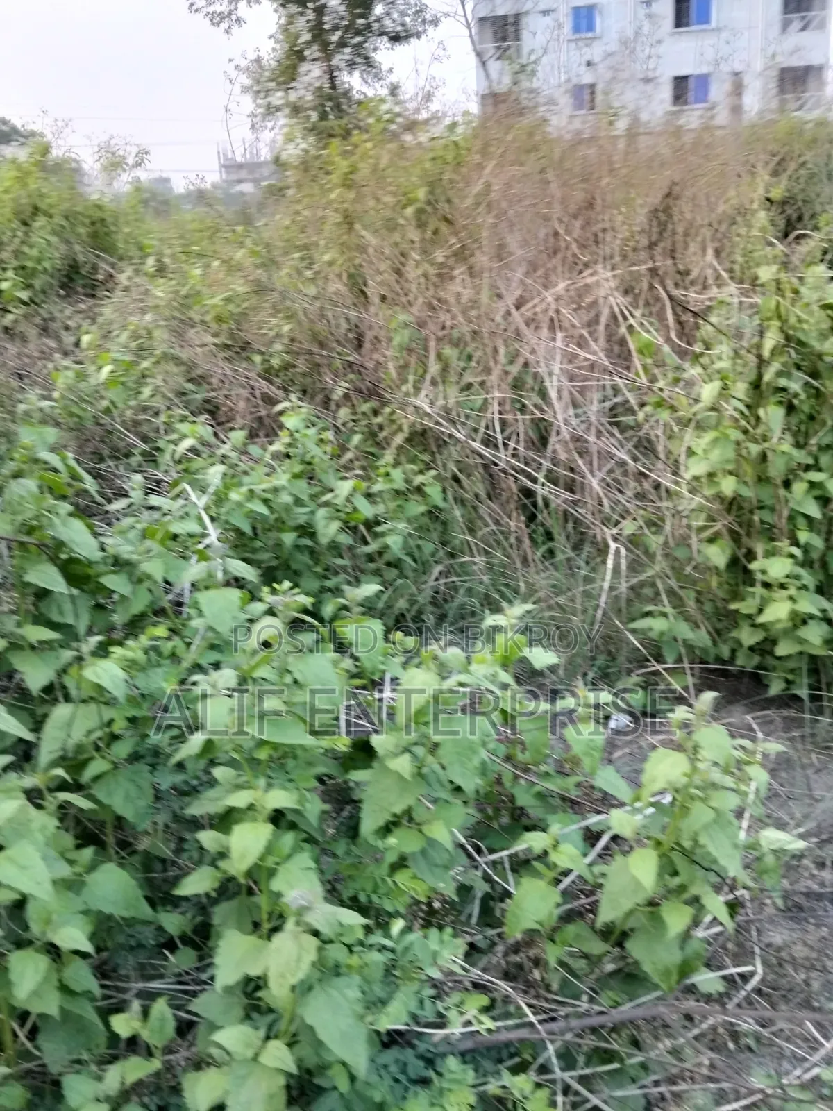 Land Sale