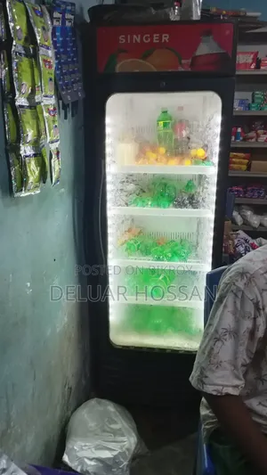 Singer Large Refrigerator