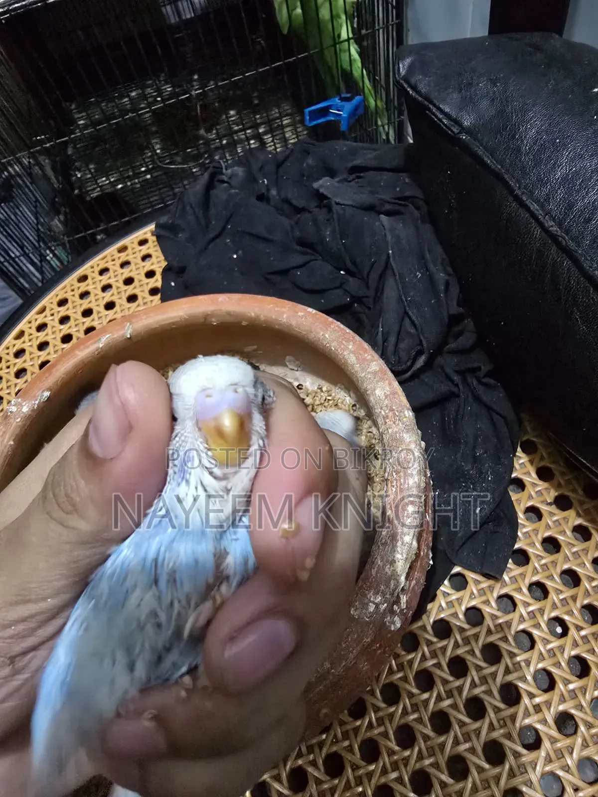 বাজিগর বেবি ৫ পিস (১ পিস ২৫০) নির্ধারিত