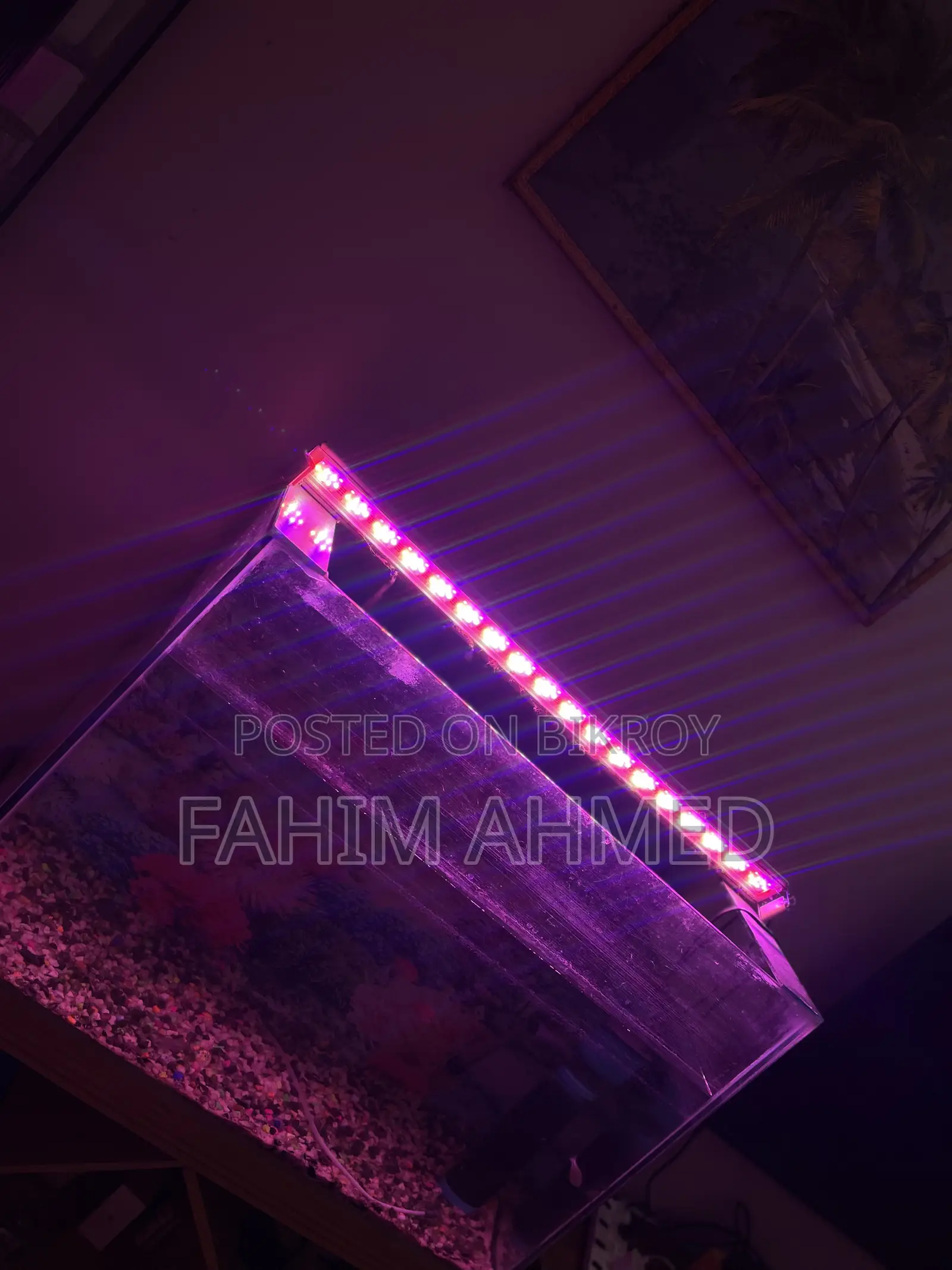 Aquarium Full Setup