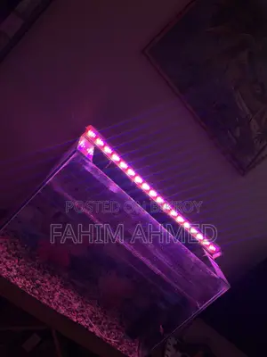 Aquarium Full Setup
