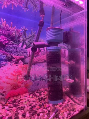Aquarium Full Setup