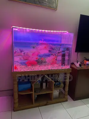Aquarium Full Setup