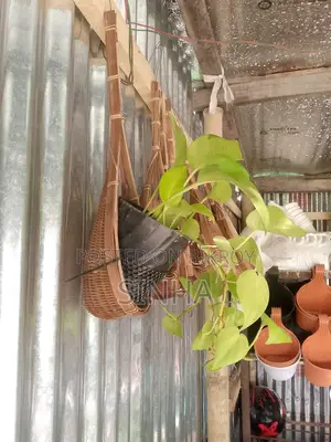 Flower Hanging Pot- Made by Bamboo
