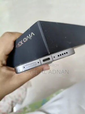 Vivo X300 Pro 512 GB Gray