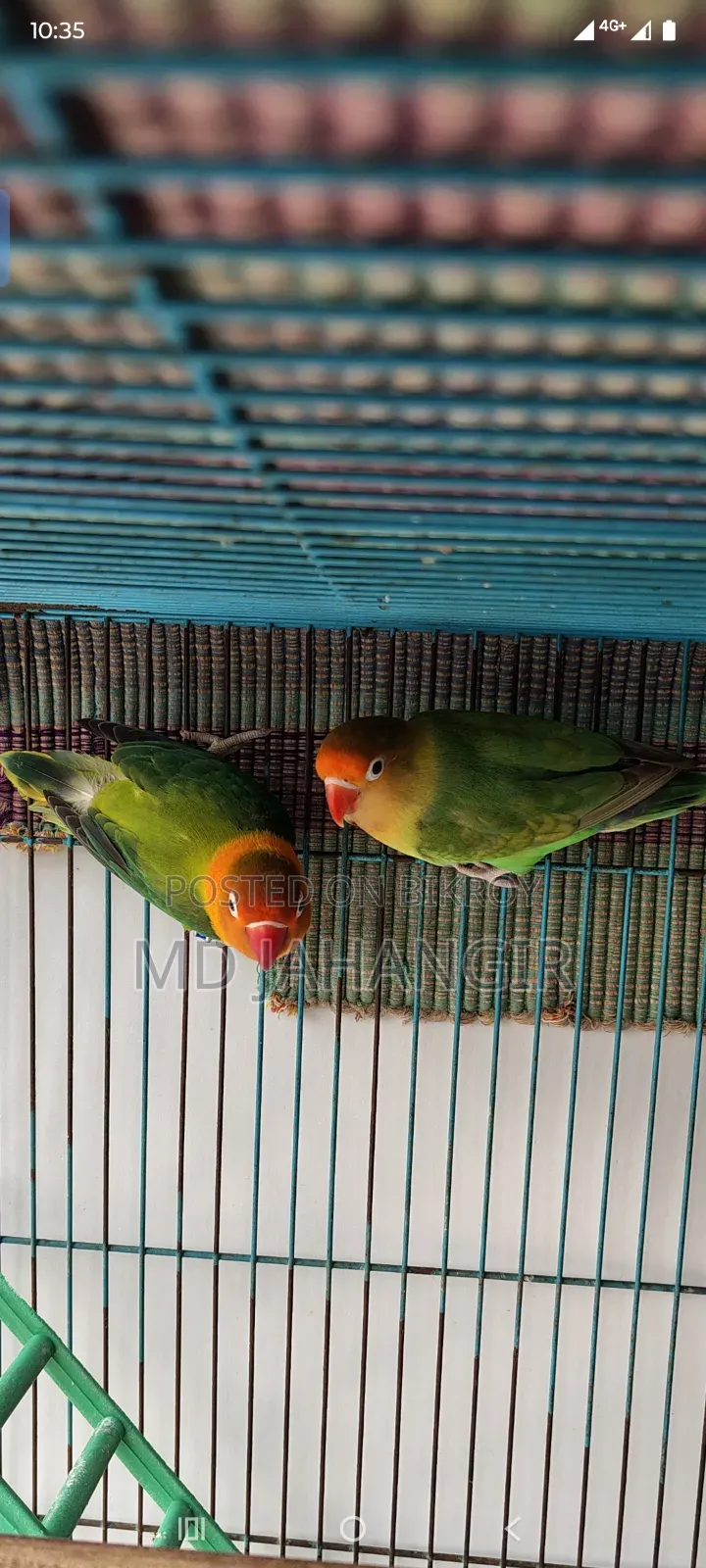 বিক্রির জন্য
