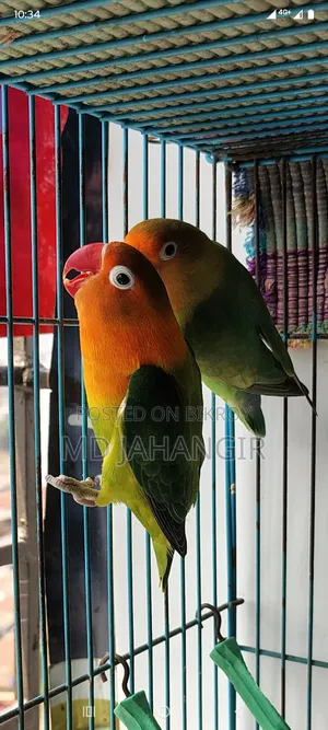 বিক্রির জন্য