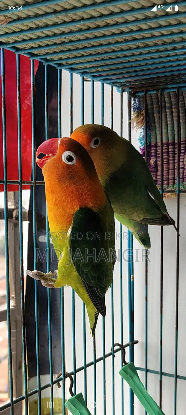 বিক্রির জন্য