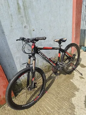 Phoenix Hurricane Mountain Bicycle