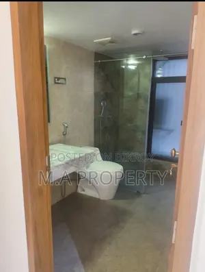 গুলশানের আর্বান এলাকায় ভাড়ার জন্য আসবাবপত্রসহ ৪ বেডরুমের অ্যাপার্টমেন্ট